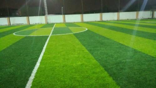 نجيلة صناعي للملاعب