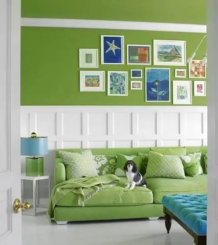 الوان غرف المعيشة