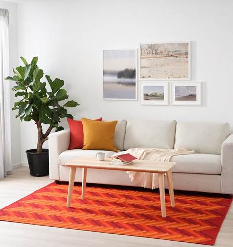 سجاد بوهيمي