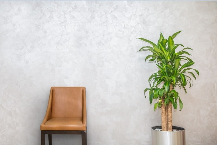 الوان دهانات الحوائط بالصور