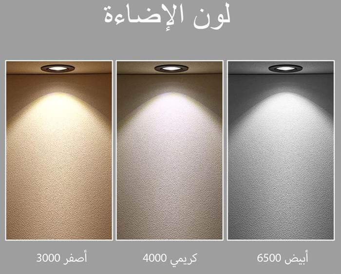 داون لايت
