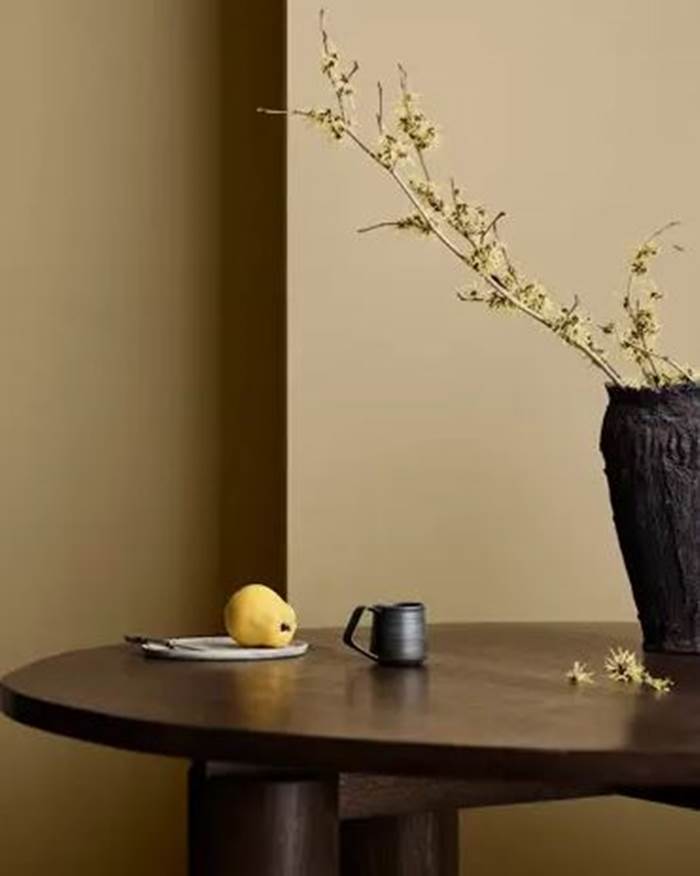 أكواد ألوان جوتن الدافئة